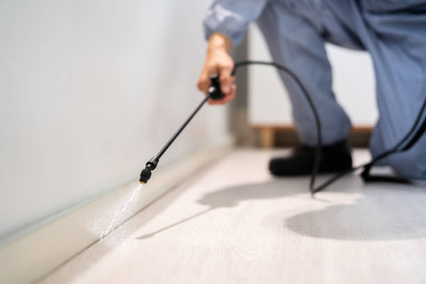 Licensed Termite Control service in Perry, MI - Nex Pest Control