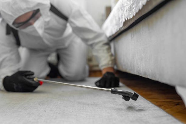 Professional Termite Control technician working in Perry, MI