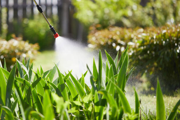 24/7 Emergency Termite Control experts in Perry, MI