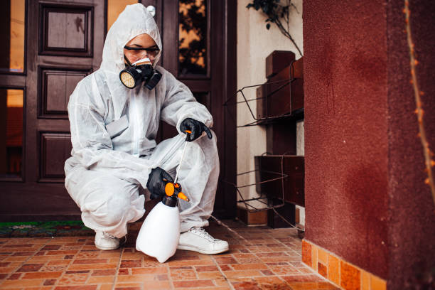 Reliable Termite Control contractor in Perry, MI by Nex Pest Control