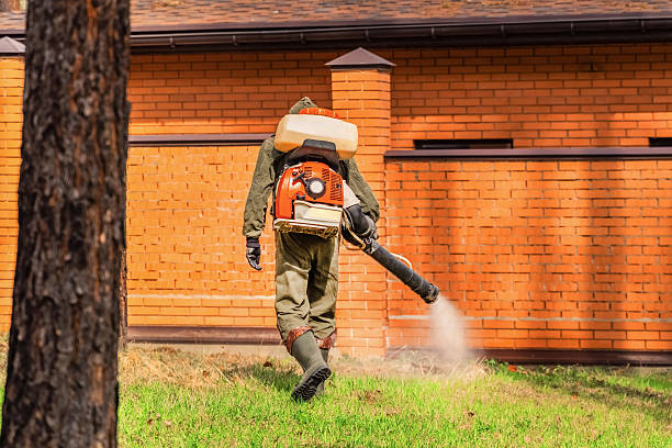 Top rated local Termite Control specialists in Perry, MI